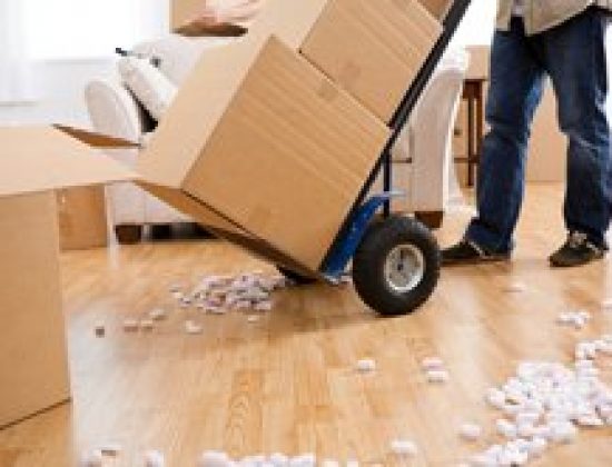 SWANNER TRANSFER & STORAGE INC