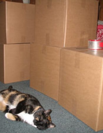 Anything Goes Moving Co