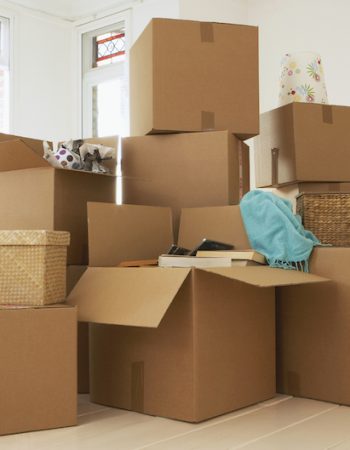 Top Dawg Movers LLC