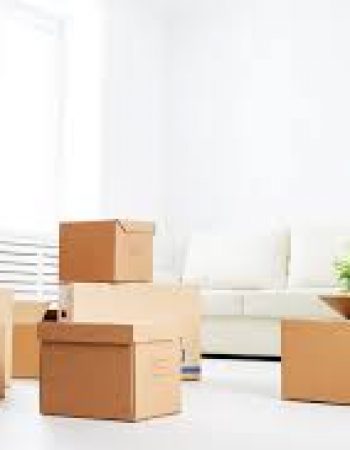 DeVries Familiy Moving & Storage Inc
