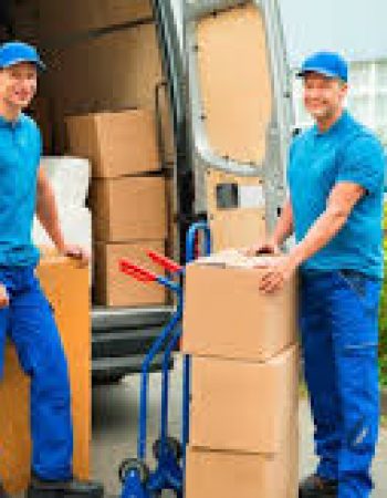 DeVries Moving & Storage Solutions Inc