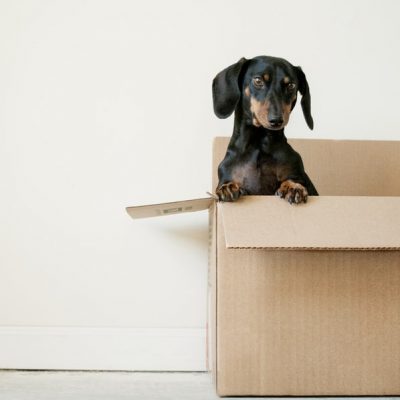 Texas Moving Service