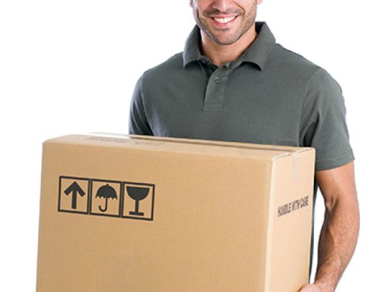 Euro Professional Moving LLC