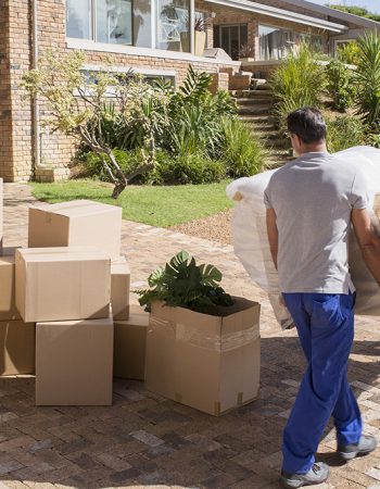 Top Dawg Movers LLC