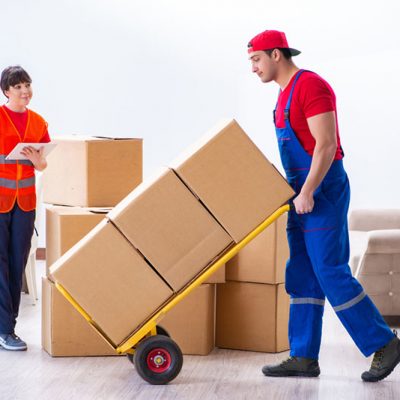 ELITE MOVING & STORAGE INC