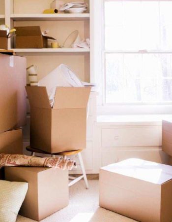 Expert Moving Services