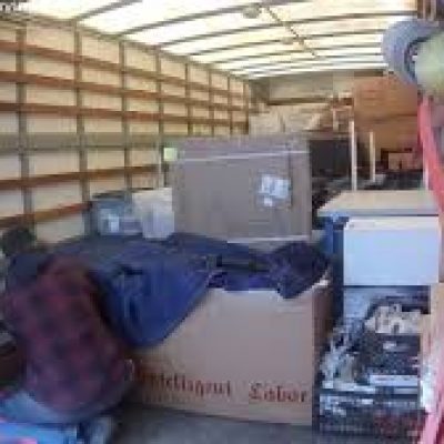 Intelligent Labor Inc