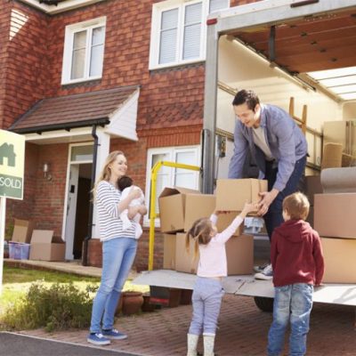 Shields Movers & Staffers LLC