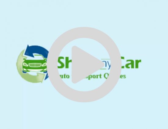 Ship Any Car LLC