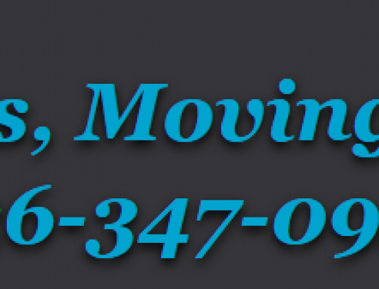 158 Rentals