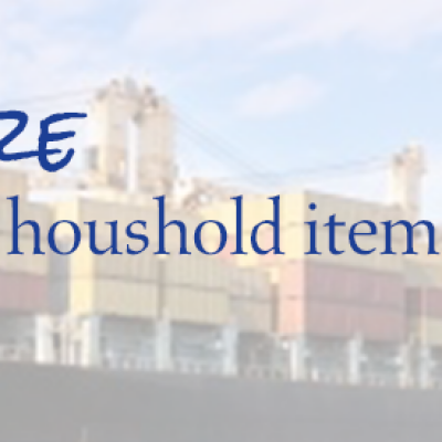 Bluemove International Relocation