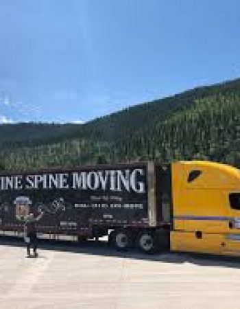Adamantine Spine Moving