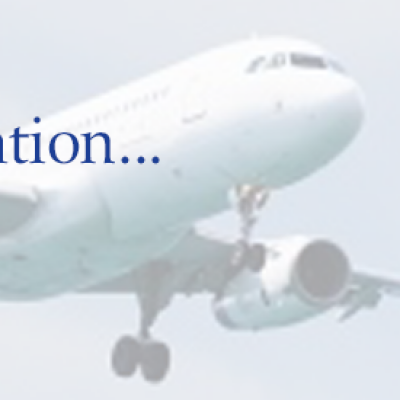 Bluemove International Relocation