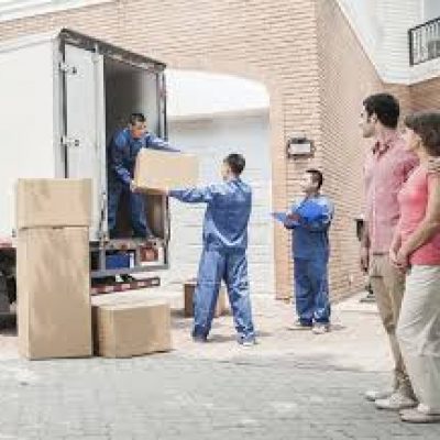 Aardvark Moving Company