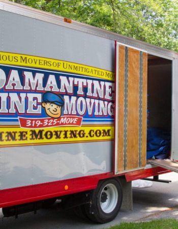 Adamantine Spine Moving