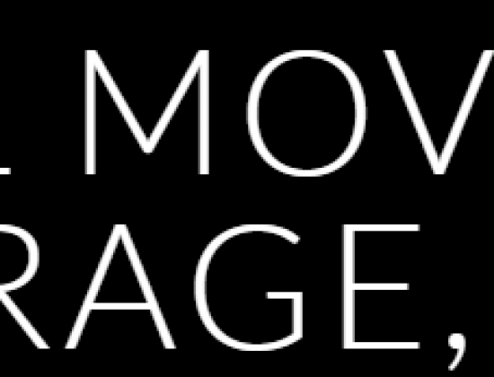 Vidal Moving & Storage Inc
