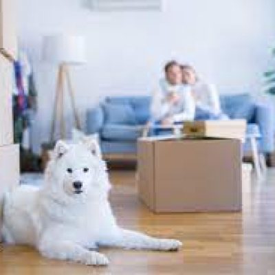 Best Moving Service