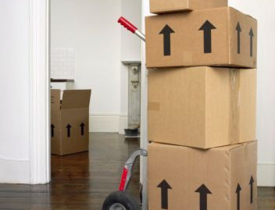 Rapps Moving & Storage Inc