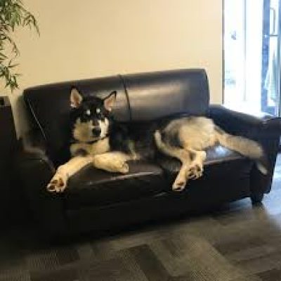 Redefyne Moving