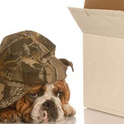 Spradlin Relocation Inc