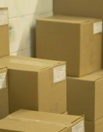 Snappy Delivery Inc