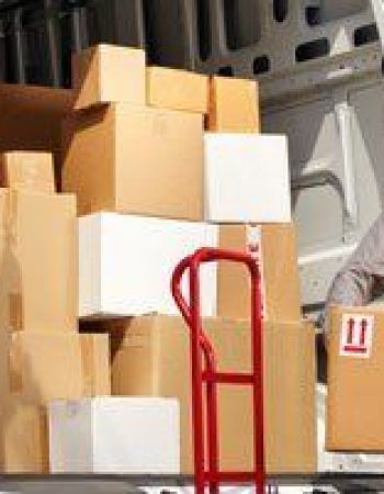 Snappy Delivery Inc