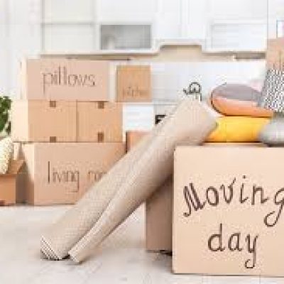 Bernardo Moving Inc