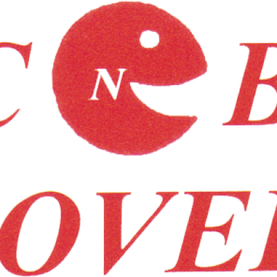 Pac n Box Movers Inc