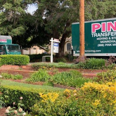 Pink Moving