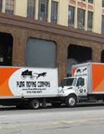 Puma Moving Company