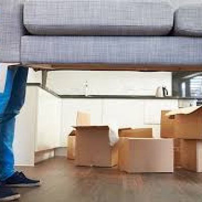 Skinny Wimp Moving Company
