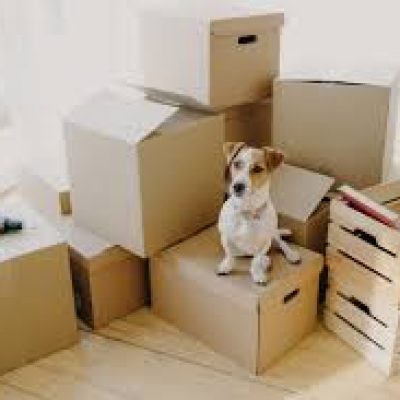 Movers on the Go