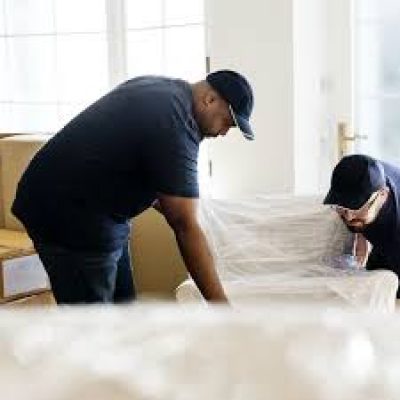 The Move Pros