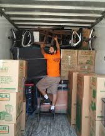 Hippo Movers