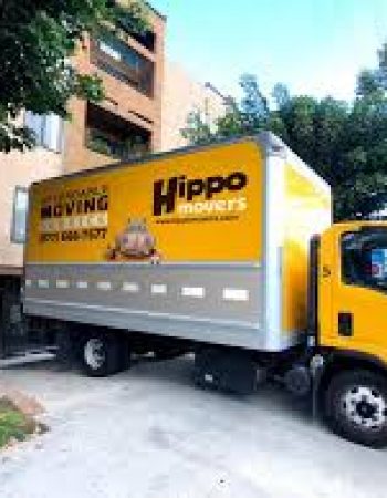 Hippo Movers