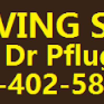 King Moving Services