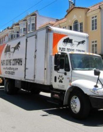 Puma Moving Company