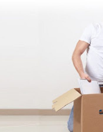 TLC Moving Services