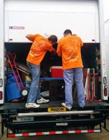 Hippo Movers