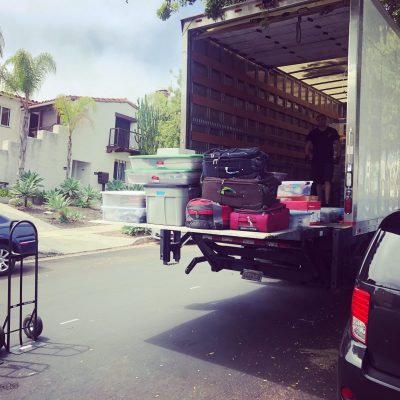 T-Rex Moving