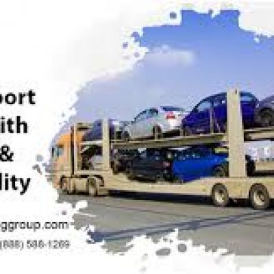 Auto Shipping Group