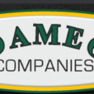Dameo Trucking Inc