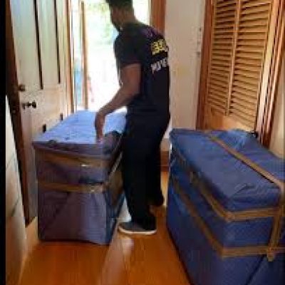 Royalty Moving Systems