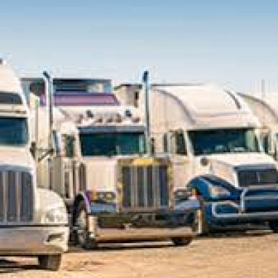 Global Transport Logistics Inc