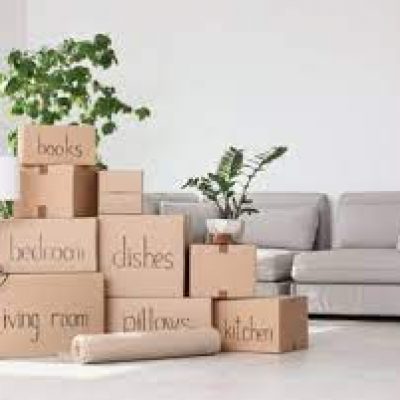 Flat Price Moving and Auto Shipping