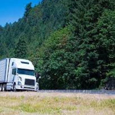 Sells Service Inc Moving & Storage