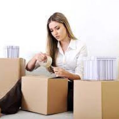 Tiger Moving and Storage