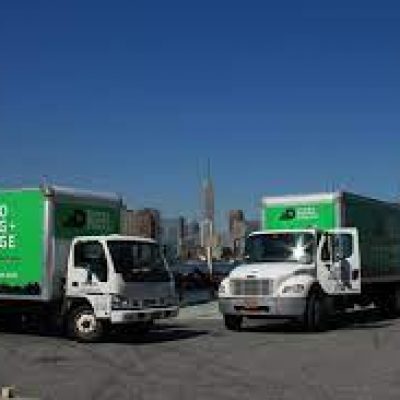 Dumbo Moving & Storage