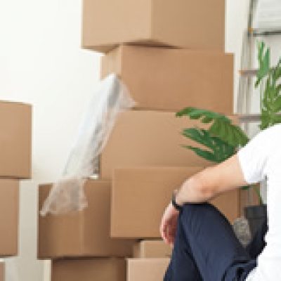 Bellevue Movers LLC