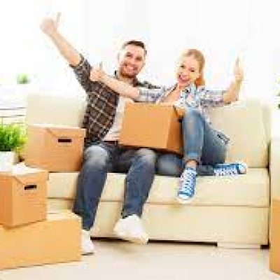 Links Logistics Inc